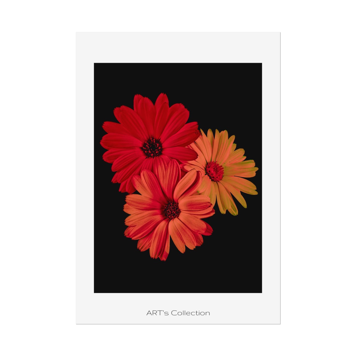 Collection Signature "FLORAL Numéro 1" sur Affiche imprimée - Série ART's Collection