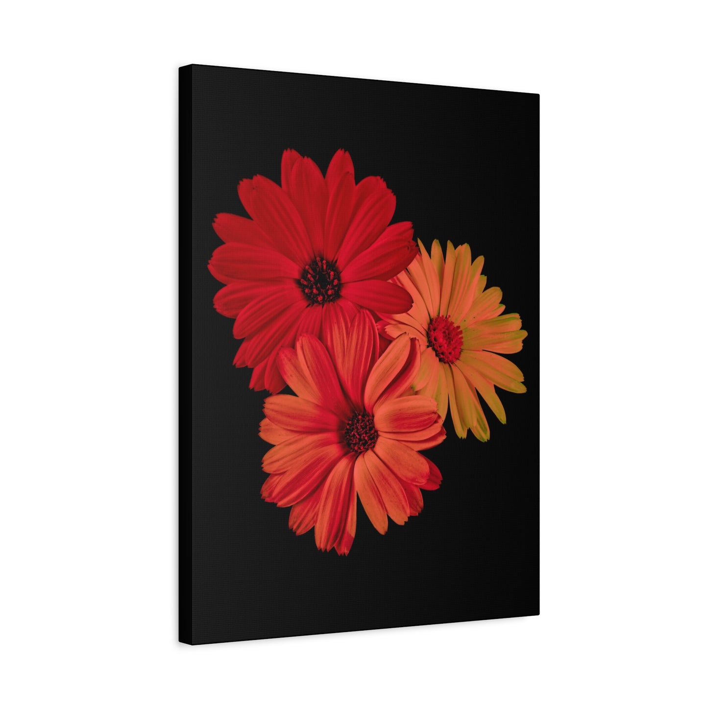 Collection Signature "FLORAL Numéro 1" sur Toile Fine Art sur Toile / Epaisseur 3,2cm - 1'25 po