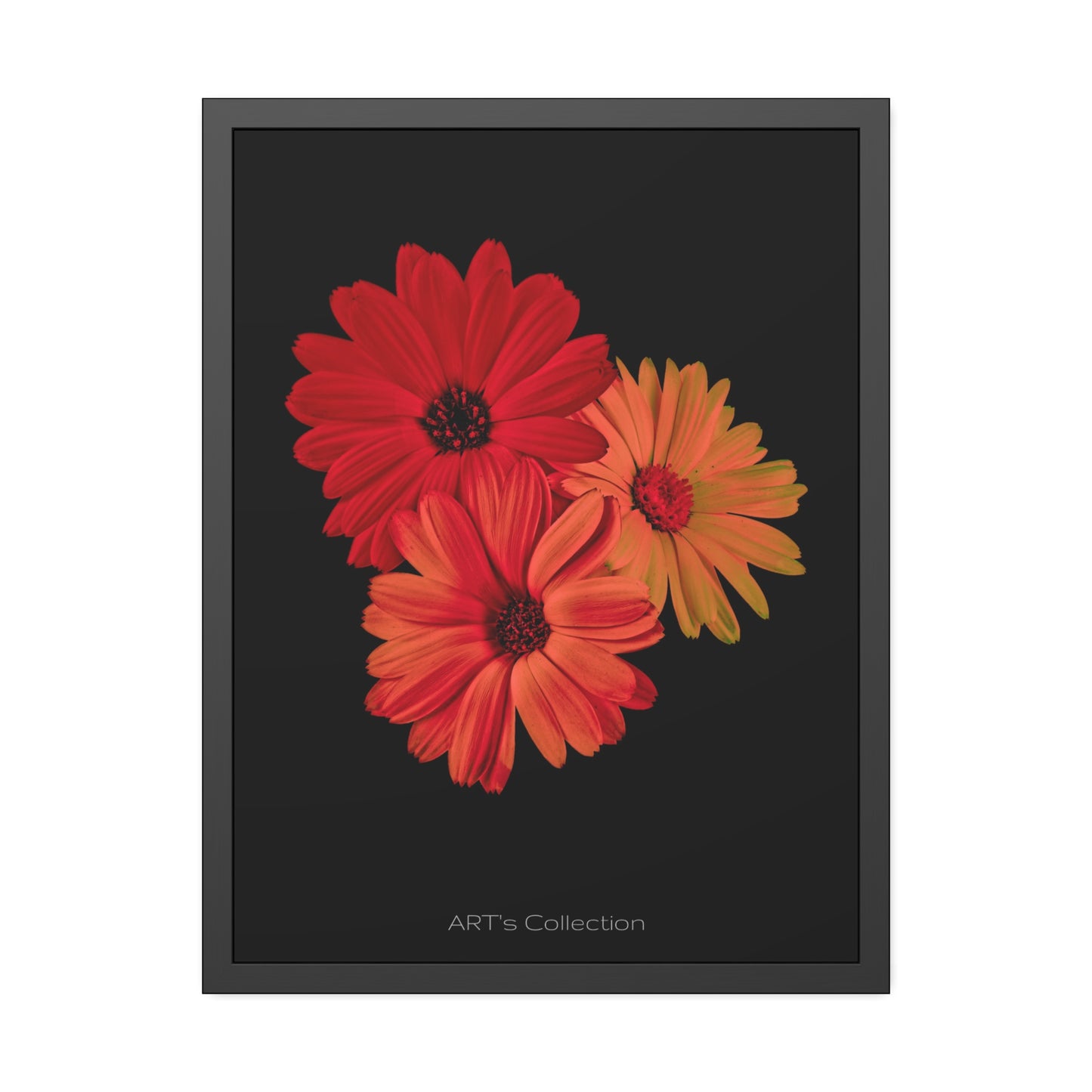 Collection Signature "FLORAL Numéro 1" sur Affiche Encadrée série ART's Collection