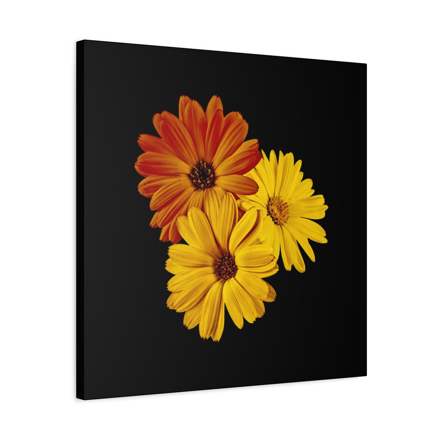 Collection Signature "FLORAL Numéro 4" sur Toile Fine Art sur Toile / Epaisseur 3,2cm - 1'25 po