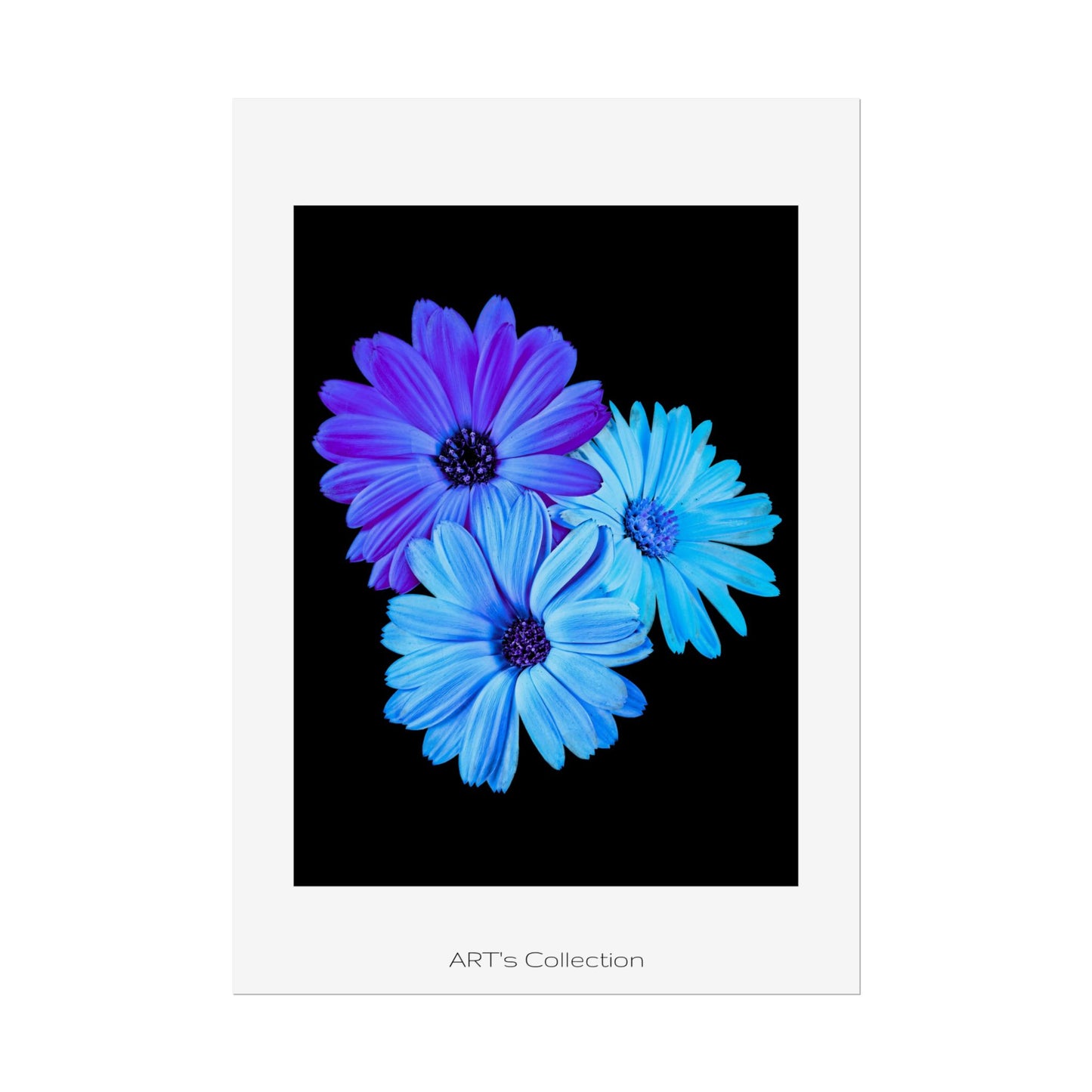 Collection Signature "FLORAL Numéro 2" sur Affiche imprimée - Série ART's Collection
