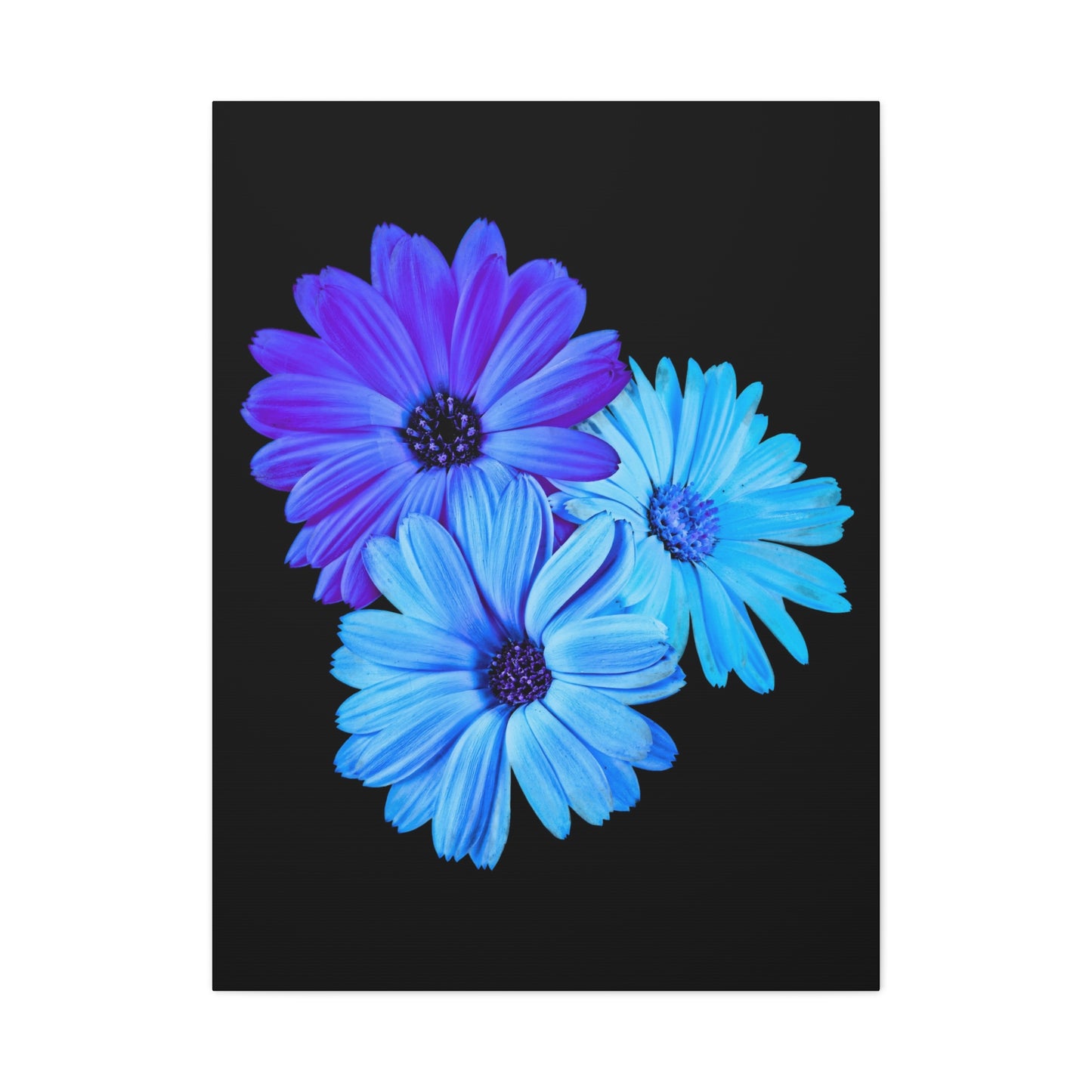 Collection Signature "FLORAL Numéro 2" sur Toile Fine Art sur Toile / Epaisseur 3,2cm - 1'25 po