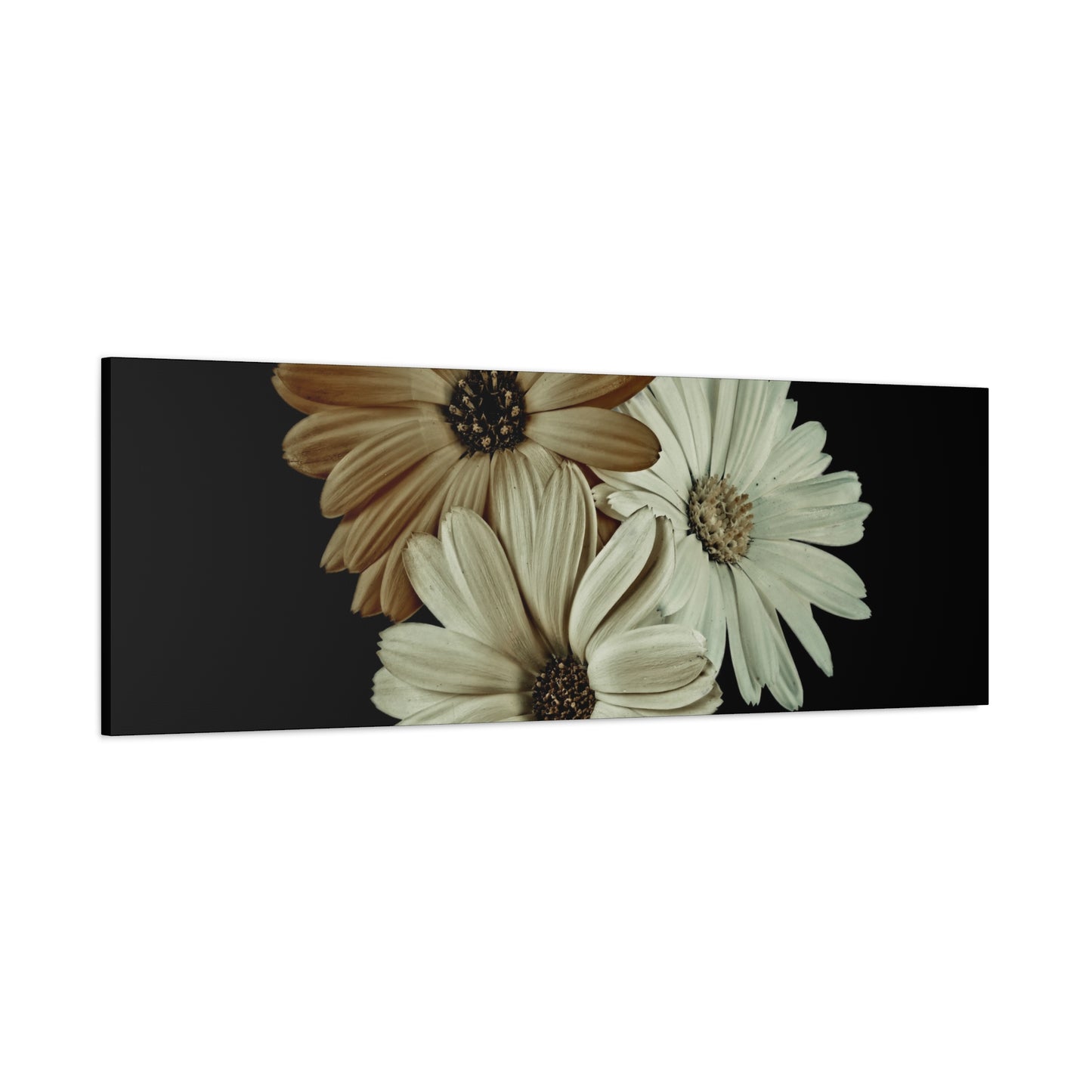 Collection Signature "FLORAL Numéro 3" sur Toile Fine Art sur Toile / Epaisseur 3,2cm - 1'25 po