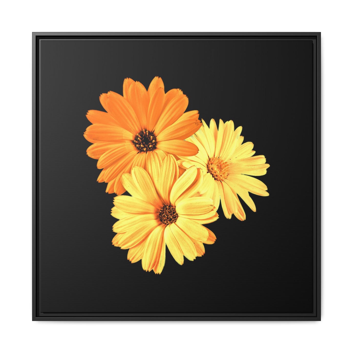 Collection Signature "FLORAL Numéro 8" sur Toile encadrée avec caisse américaine