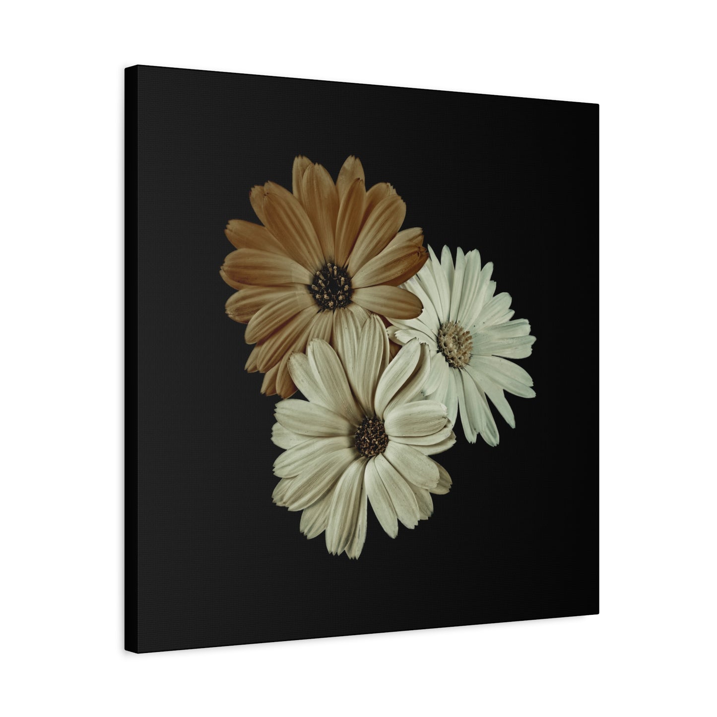 Collection Signature "FLORAL Numéro 3" sur Toile Fine Art sur Toile / Epaisseur 3,2cm - 1'25 po
