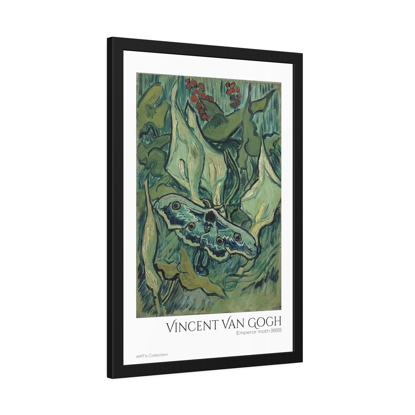 Emperor moth (1889) by Vincent Van Gogh / Affiche Encadrée série ART's Collection