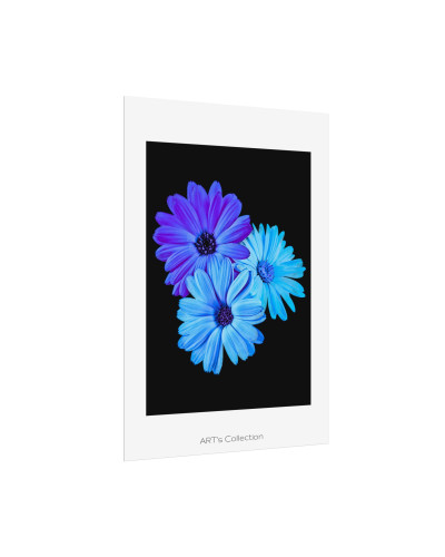 Collection Signature "FLORAL Numéro 2" sur Affiche