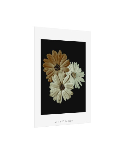 Collection Signature "FLORAL Numéro 3" sur Affiche