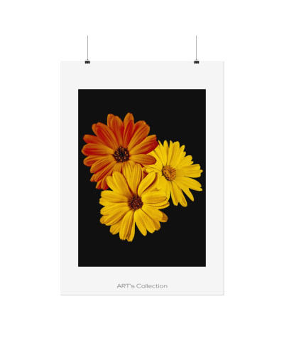 Collection Signature "FLORAL Numéro 4" sur Affiche