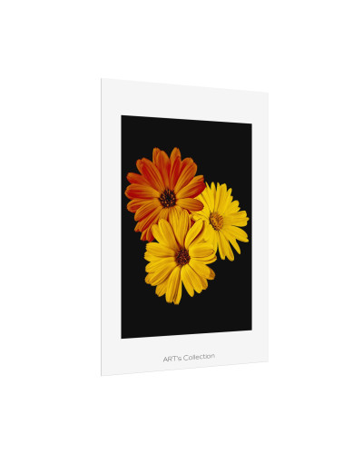 Collection Signature "FLORAL Numéro 4" sur Affiche