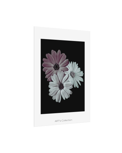 Collection Signature "FLORAL Numéro 5" sur Affiche