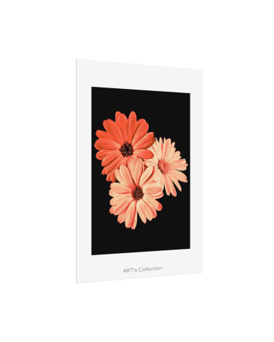 Collection Signature "FLORAL Numéro 6" sur Affiche