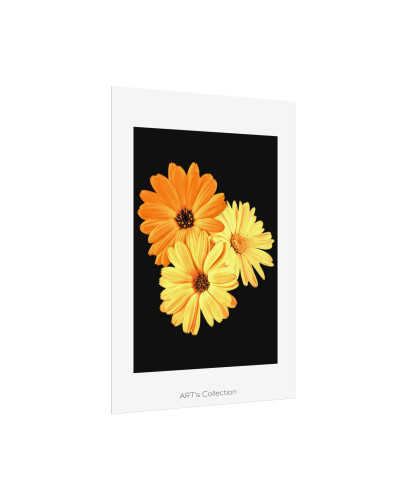 Collection Signature "FLORAL Numéro 8" sur Affiche