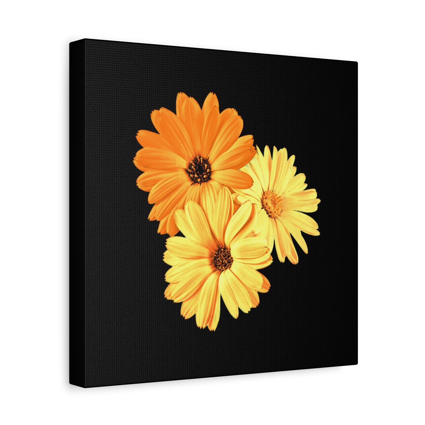 Collection Signature "FLORAL Numéro 8" sur Toile Fine Art sur Toile / Epaisseur 3,2cm - 1'25 po