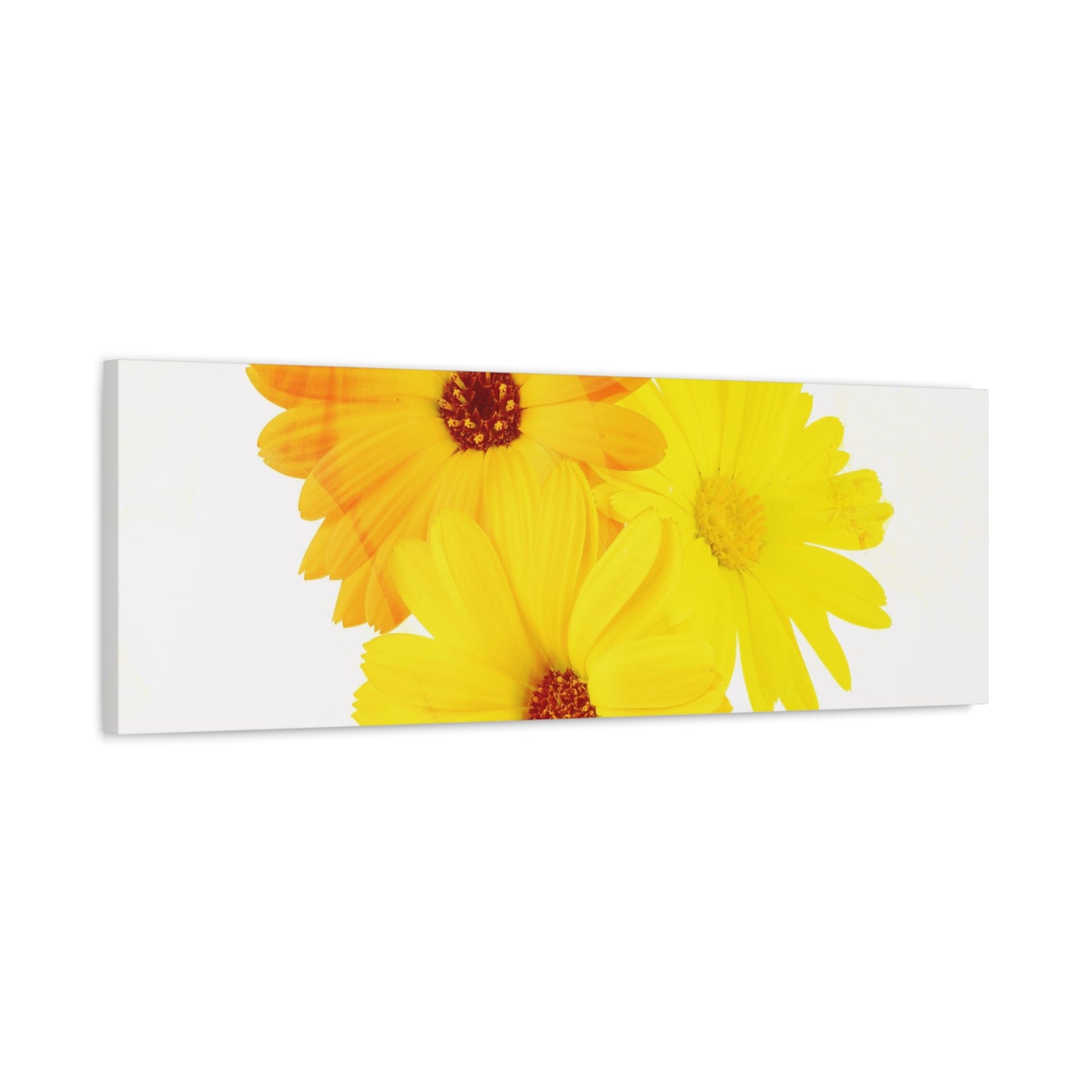 Collection Signature "FLORAL Numéro 16" sur Toile Fine Art sur Toile / Epaisseur 3,2cm - 1'25 po