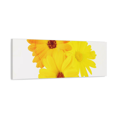 Collection Signature "FLORAL Numéro 16" sur Toile Fine Art sur Toile / Epaisseur 3,2cm - 1'25 po