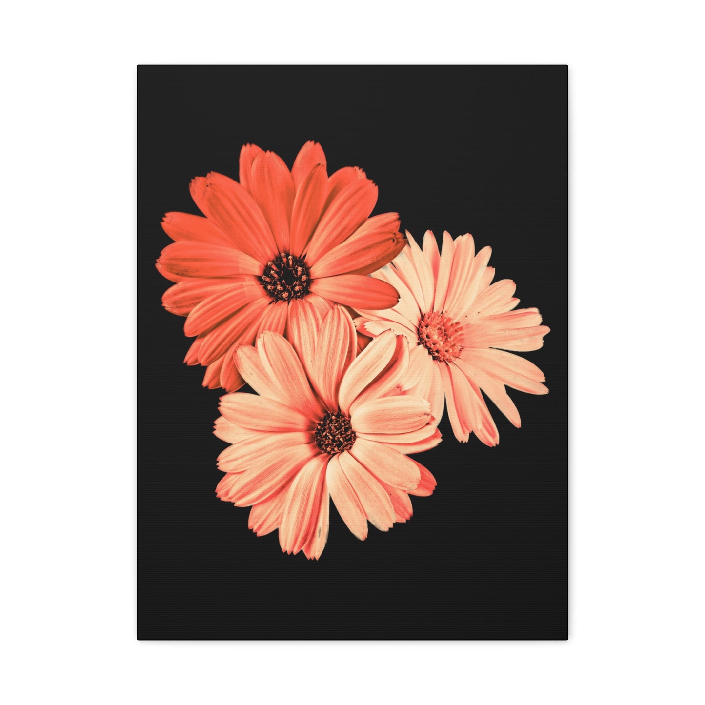 Collection Signature "FLORAL Numéro 6" sur Toile Fine Art sur Toile / Epaisseur 3,2cm - 1'25 po