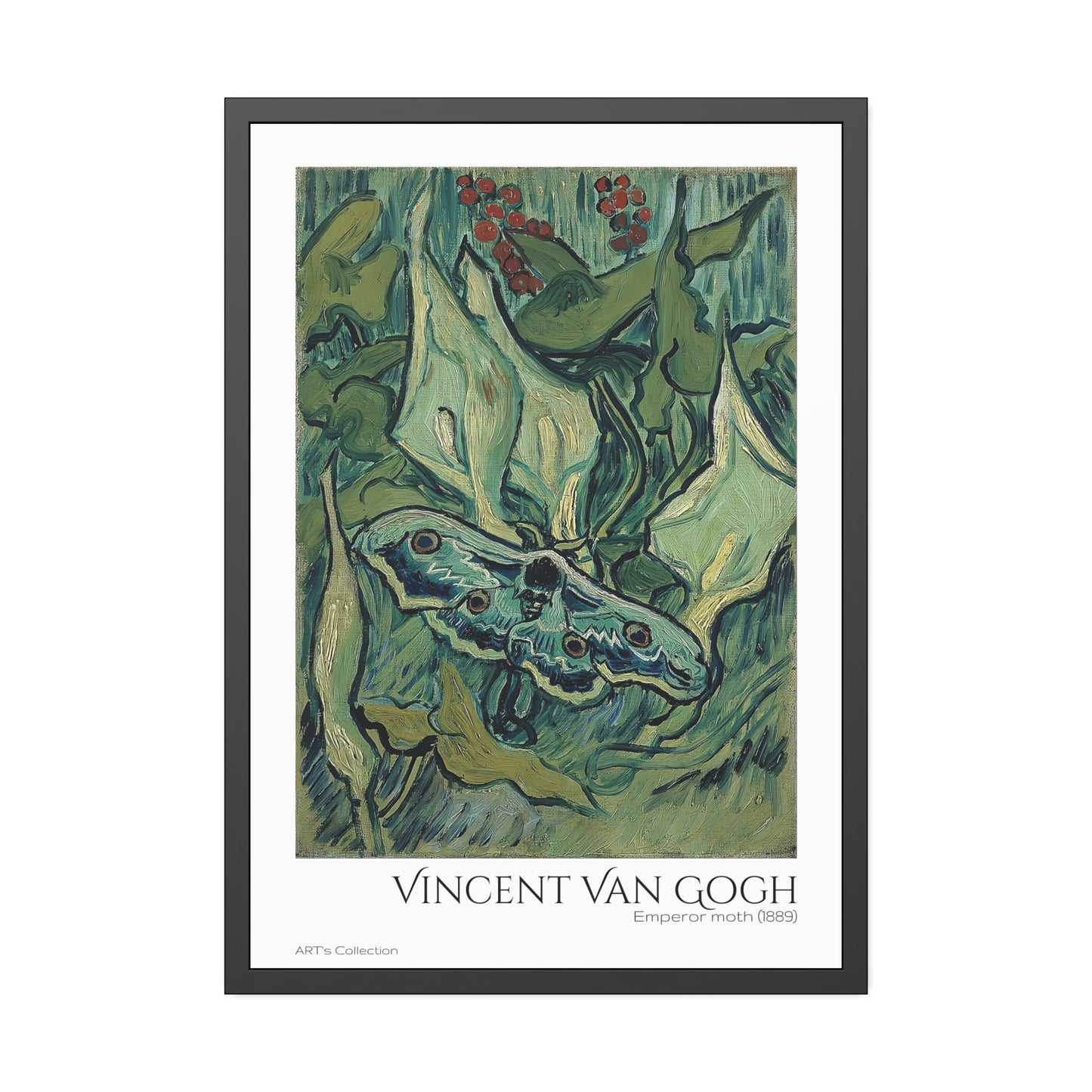 Emperor moth (1889) by Vincent Van Gogh / Affiche Encadrée série ART's Collection