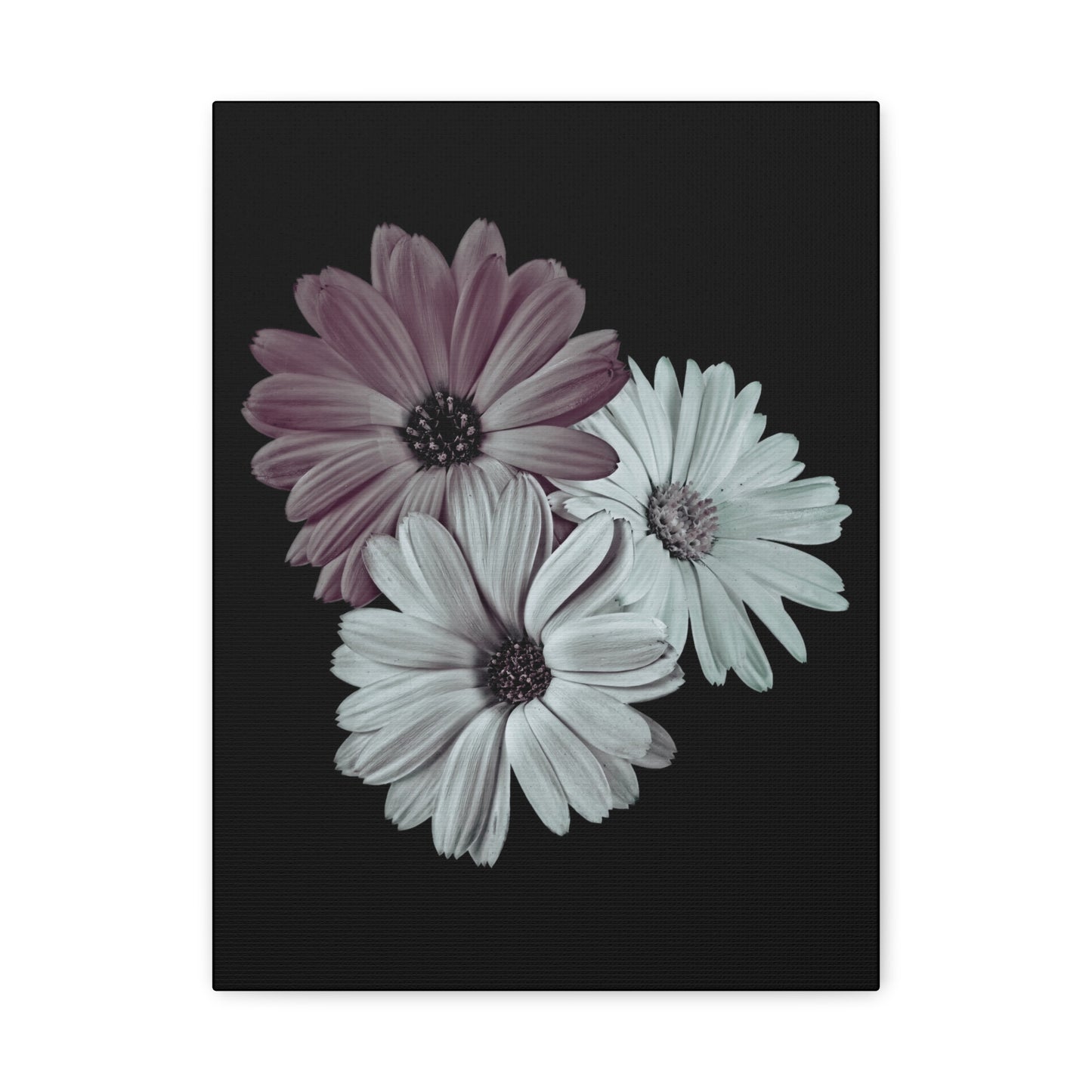 Collection Signature "FLORAL Numéro 5" sur Toile Fine Art sur Toile / Epaisseur 3,2cm - 1'25 po