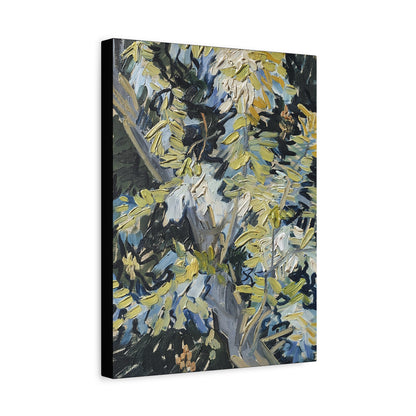 Acacia in Flowers by Vincent van Gogh  / Reproduction Fine Art sur Toile / Epaisseur 3,2cm - 1'25 po