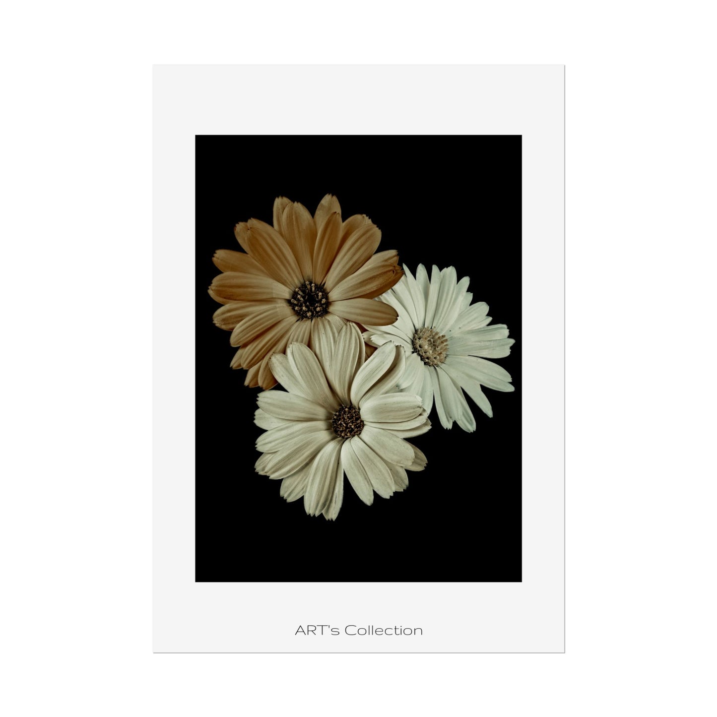 Collection Signature "FLORAL Numéro 3" sur Affiche imprimée - Série ART's Collection