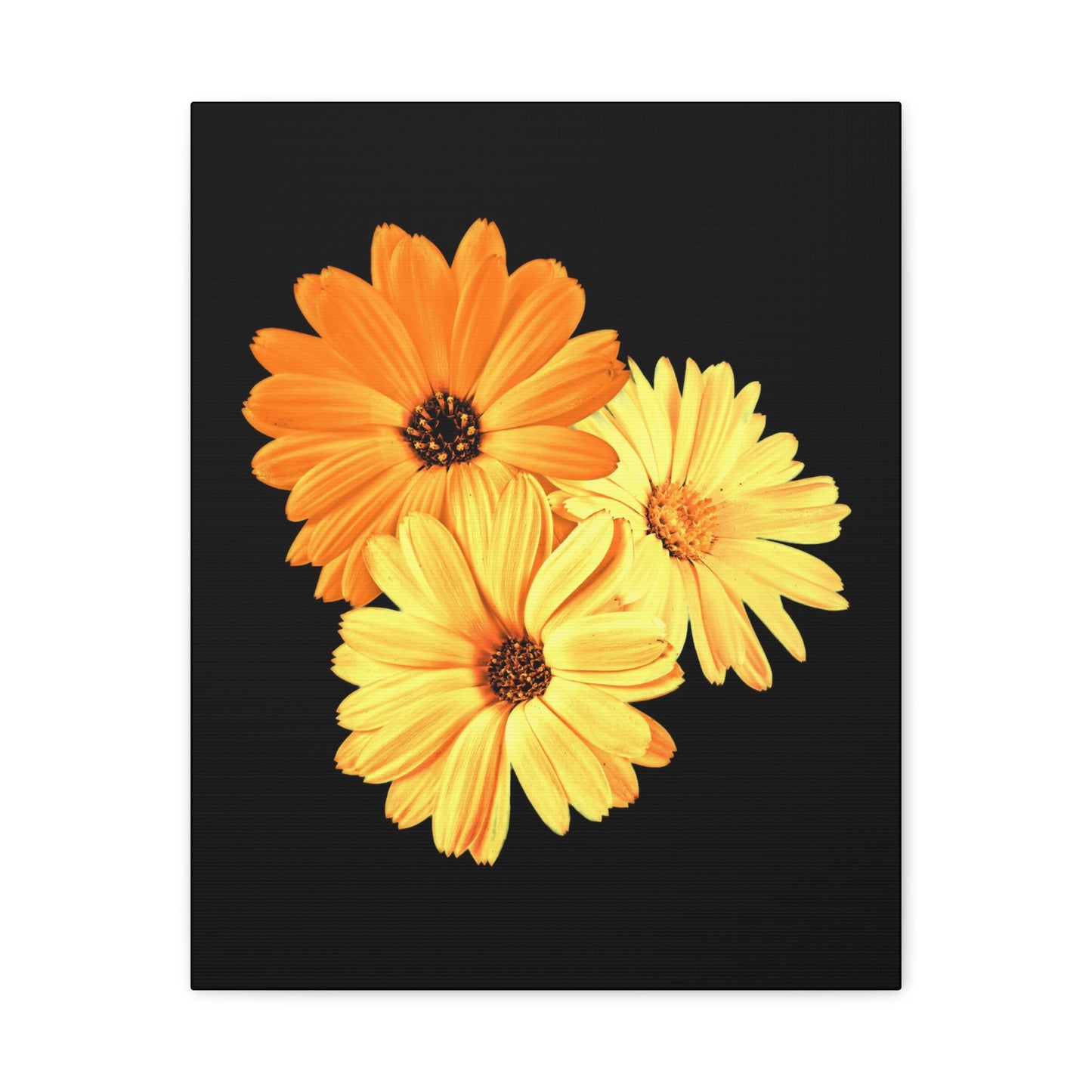 Collection Signature "FLORAL Numéro 8" sur Toile Fine Art sur Toile / Epaisseur 3,2cm - 1'25 po