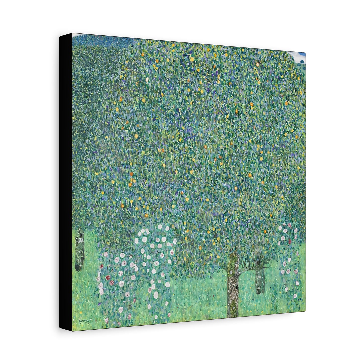 Rosebushes under the Trees (circa 1905) by Gustav Klimt / Reproduction Fine Art sur Toile / Flanc Large Epaisseur 3.2 cm - 1.25 inch