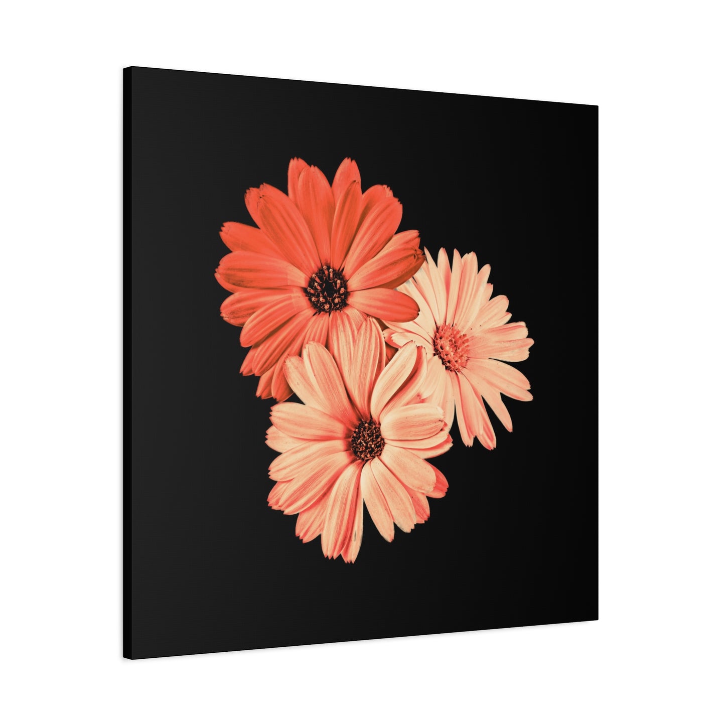 Collection Signature "FLORAL Numéro 6" sur Toile Fine Art sur Toile / Epaisseur 3,2cm - 1'25 po