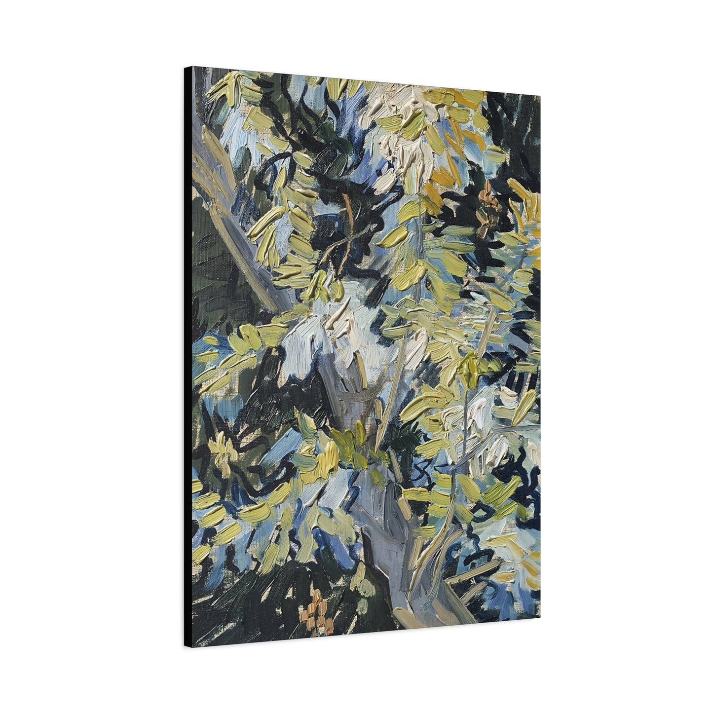 Acacia in Flowers by Vincent van Gogh  / Reproduction Fine Art sur Toile / Epaisseur 3,2cm - 1'25 po