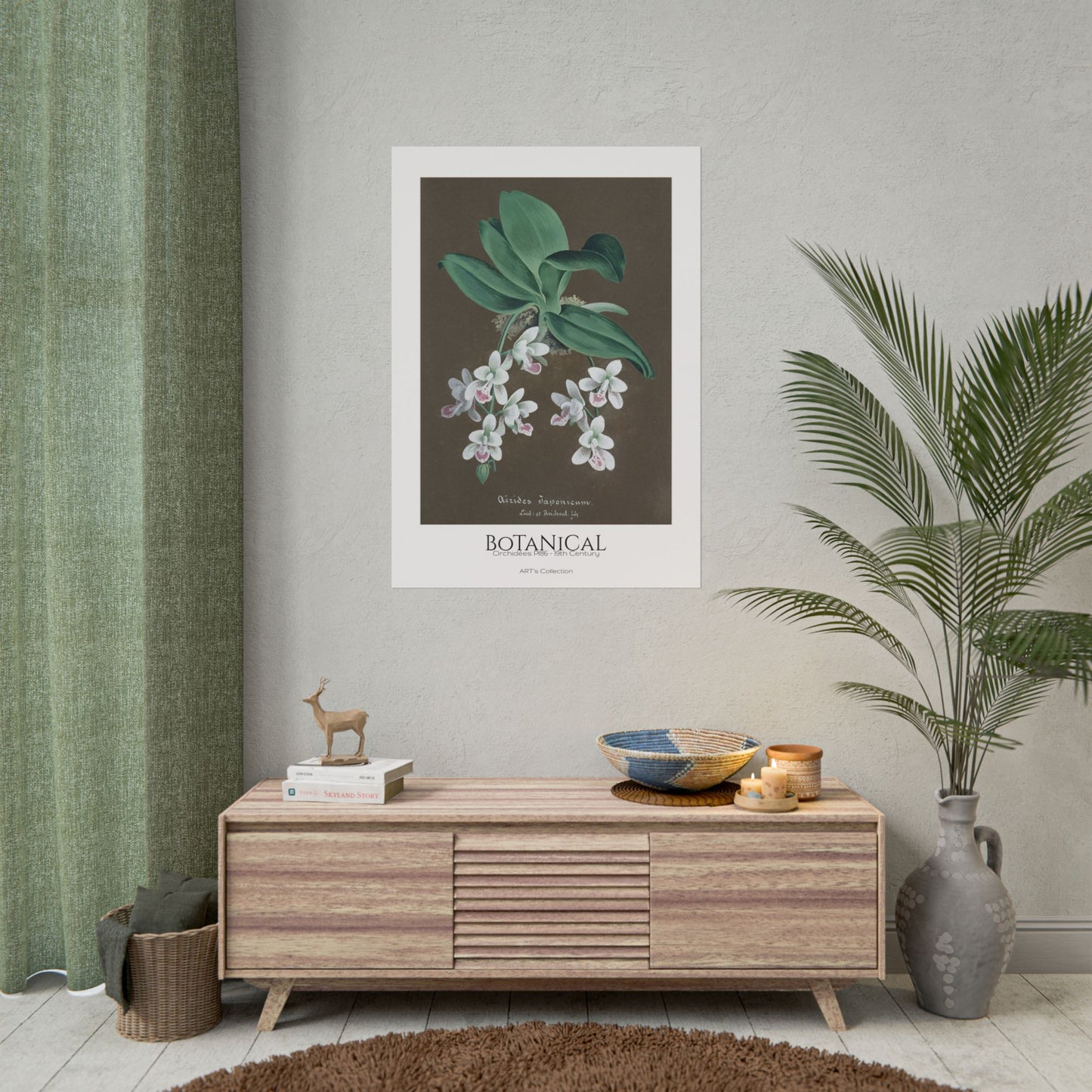 Botanical - Orchidées Pl.86 (19th Century) / Affiche imprimée - Série ART's Collection