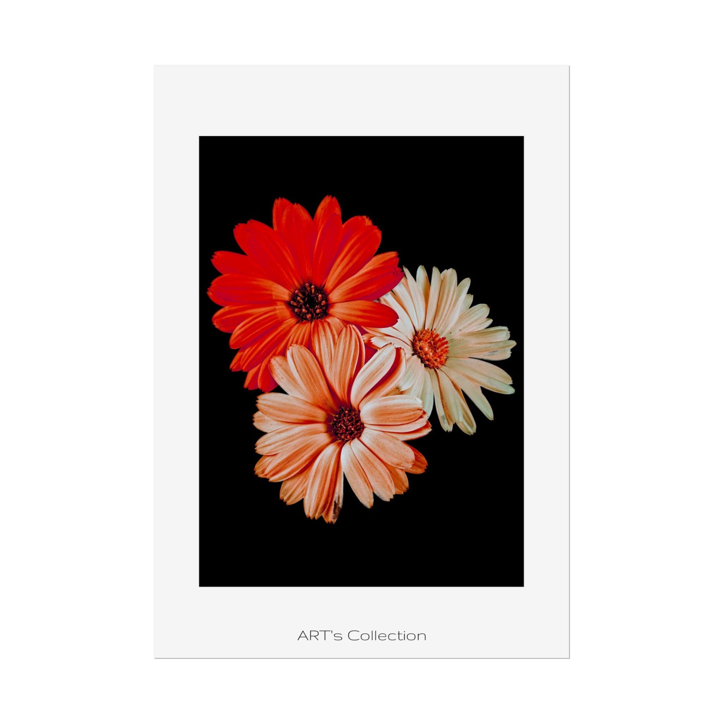 Collection Signature "FLORAL Numéro 7" sur Affiche imprimée - Série ART's Collection
