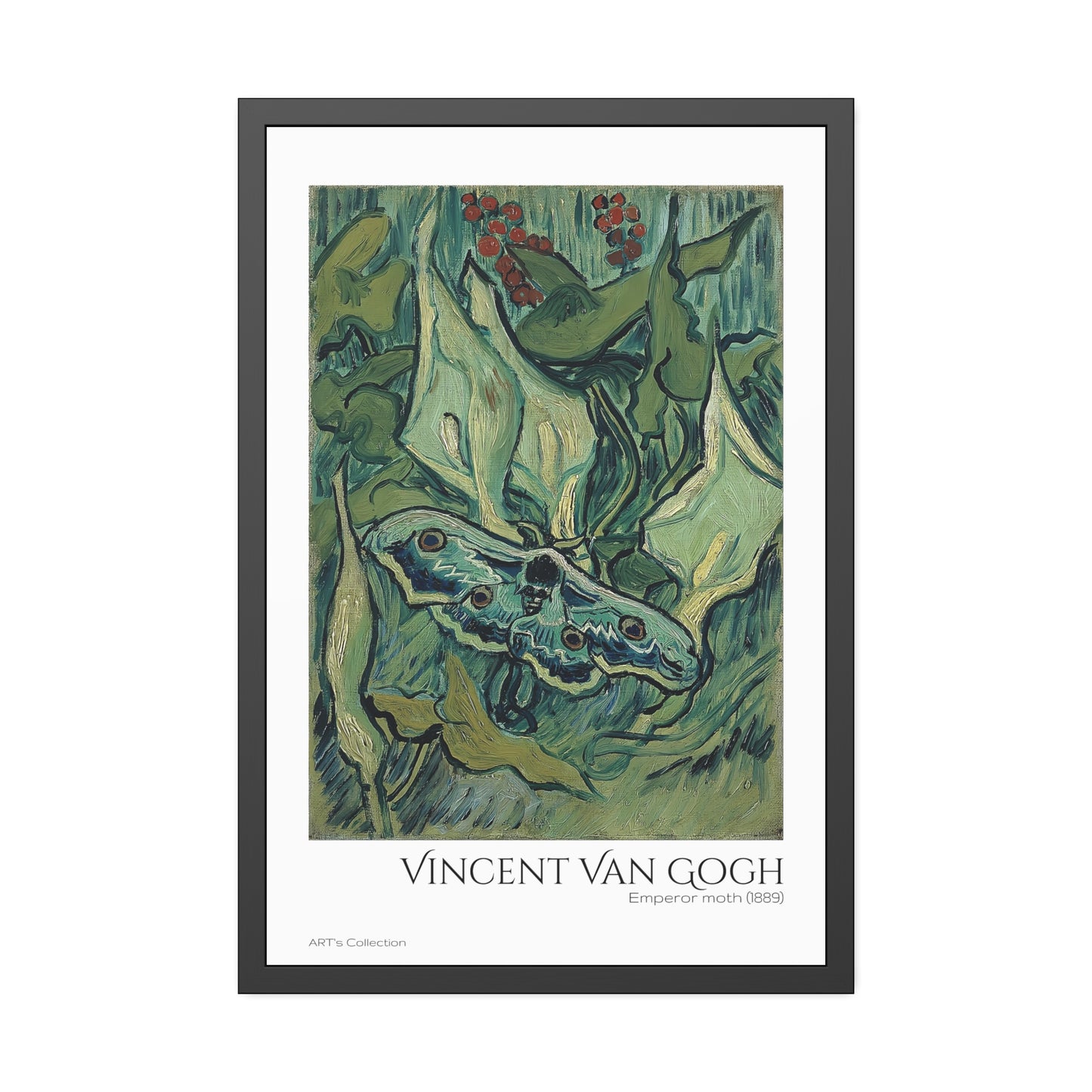 Emperor moth (1889) by Vincent Van Gogh / Affiche Encadrée série ART's Collection