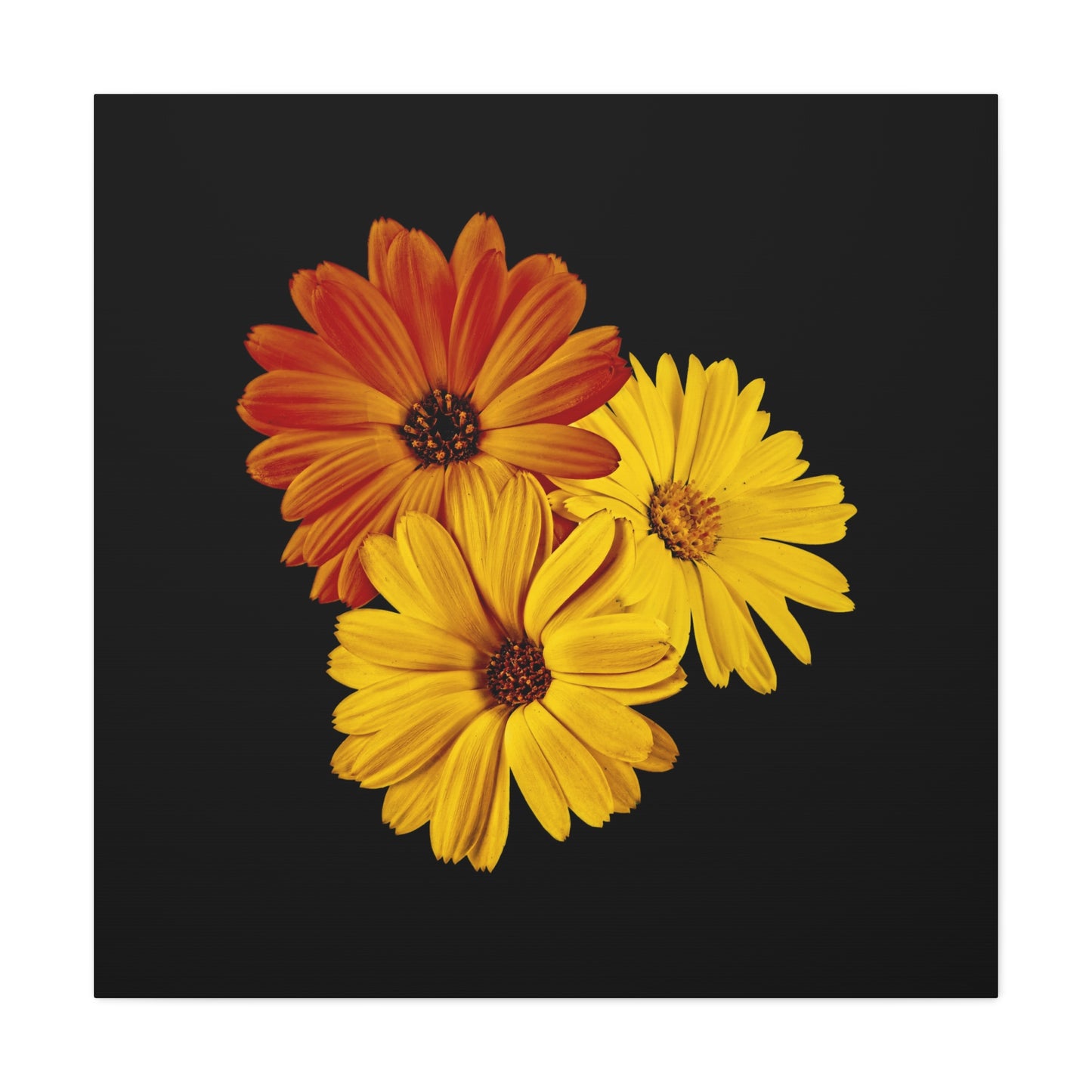 Collection Signature "FLORAL Numéro 4" sur Toile Fine Art sur Toile / Epaisseur 3,2cm - 1'25 po