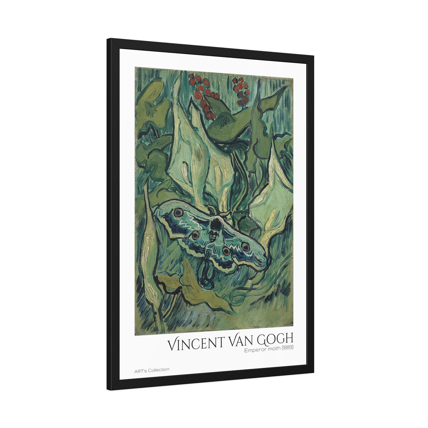 Emperor moth (1889) by Vincent Van Gogh / Affiche Encadrée série ART's Collection