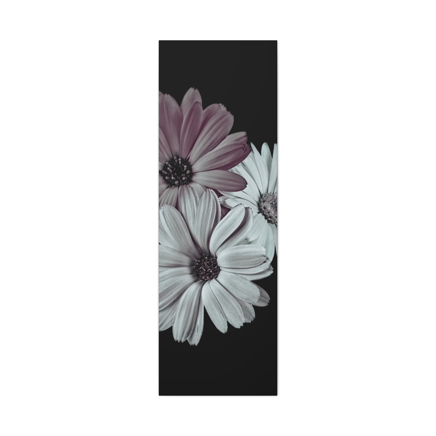 Collection Signature "FLORAL Numéro 5" sur Toile Fine Art sur Toile / Epaisseur 3,2cm - 1'25 po