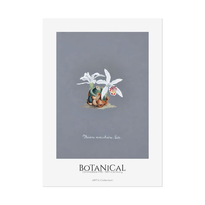 Botanical - Orchidées Pl.15 (19th Century) / Affiche imprimée - Série ART's Collection