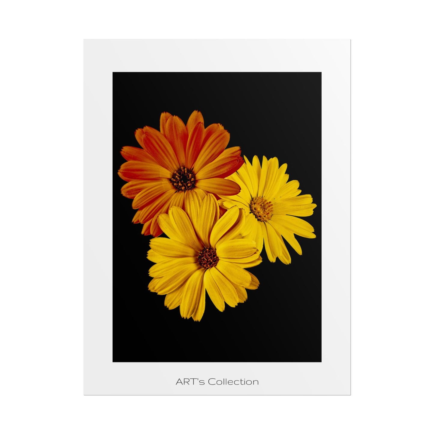 Collection Signature "FLORAL Numéro 4" sur Affiche imprimée - Série ART's Collection
