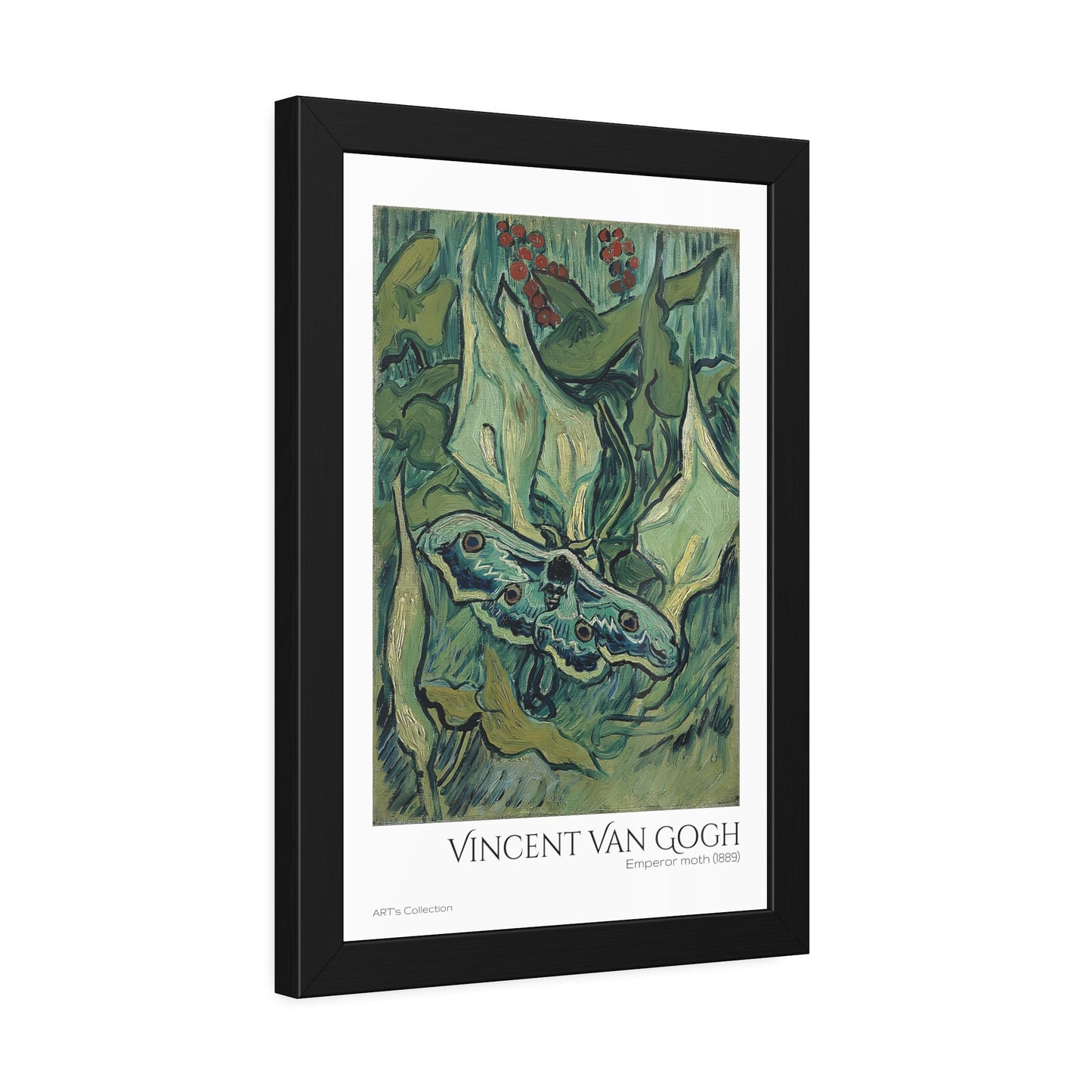 Emperor moth (1889) by Vincent Van Gogh / Affiche Encadrée série ART's Collection