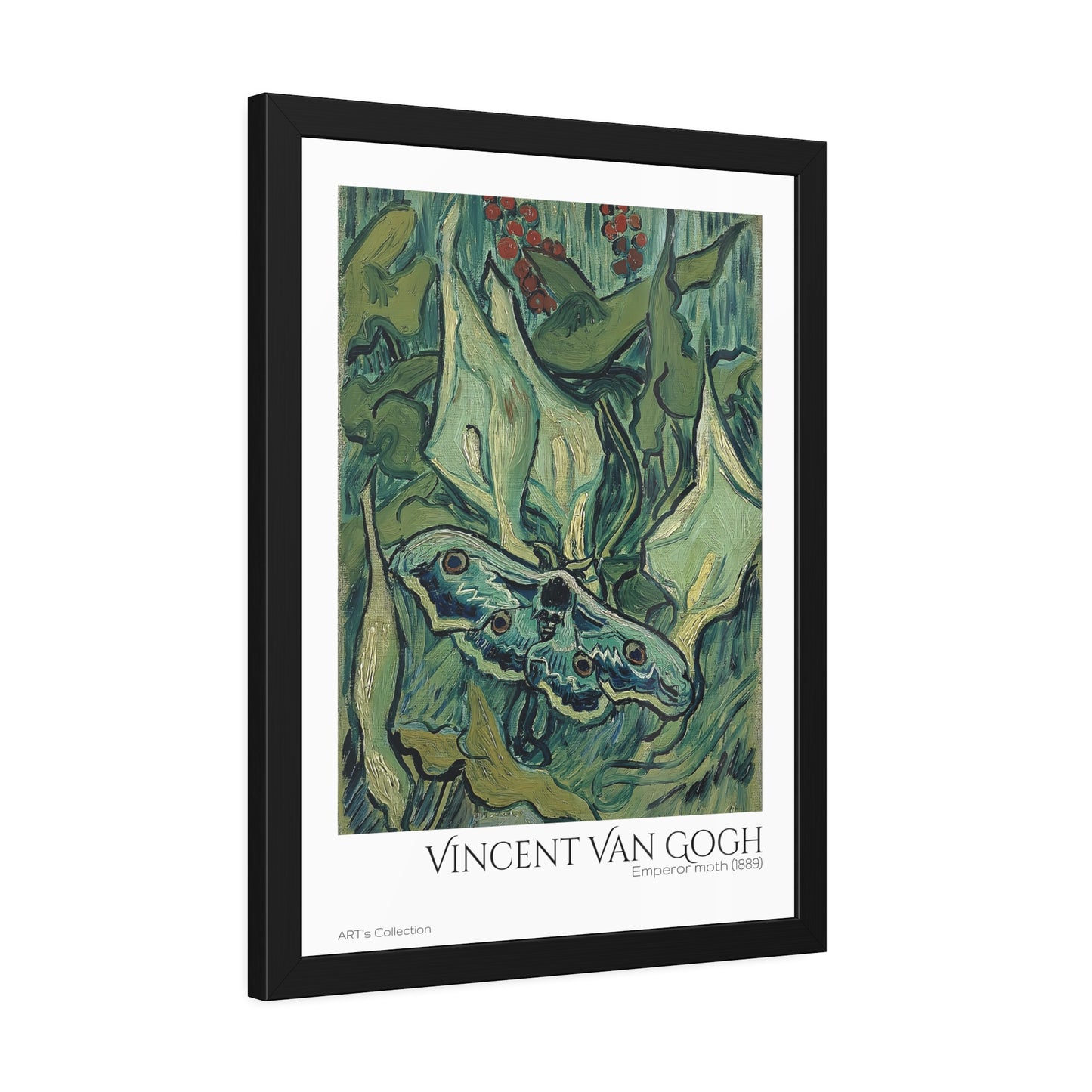 Emperor moth (1889) by Vincent Van Gogh / Affiche Encadrée série ART's Collection