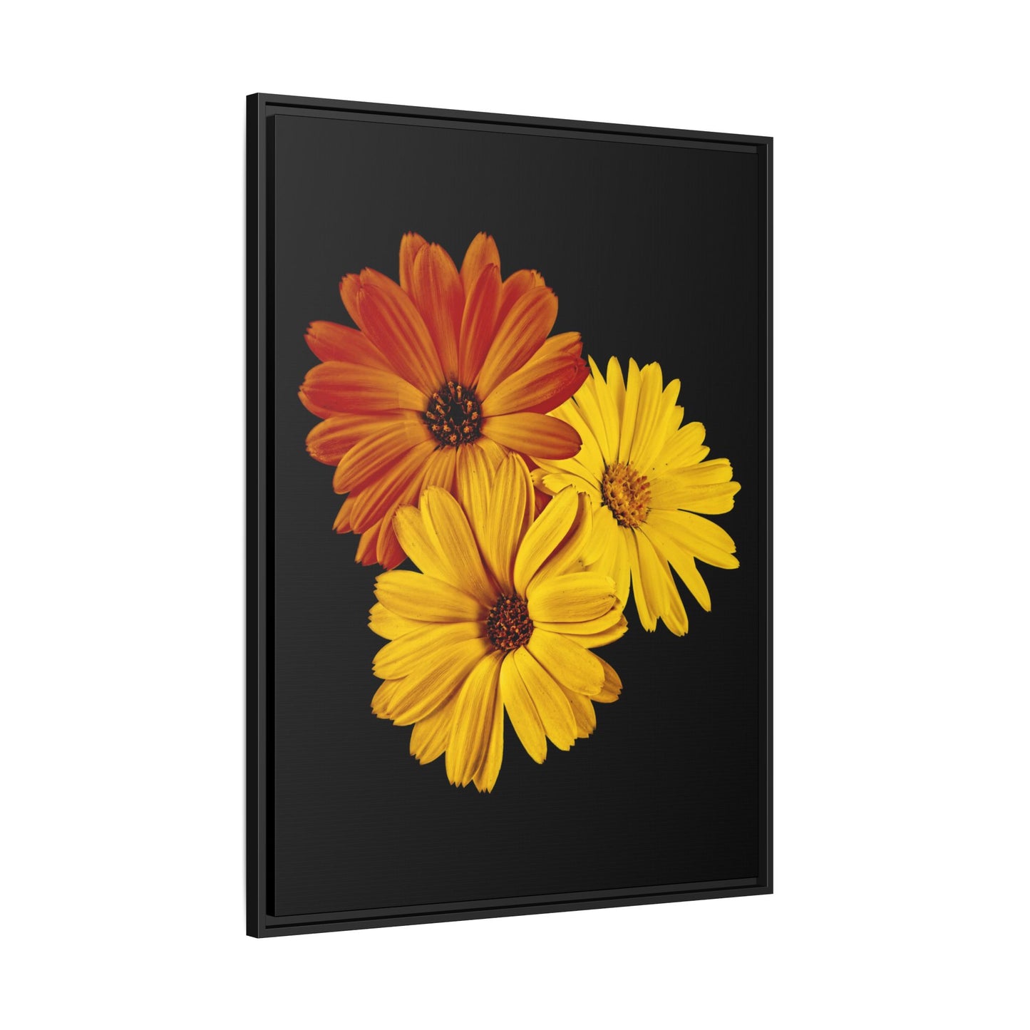 Collection Signature "FLORAL Numéro 4" sur Toile encadrée avec caisse américaine