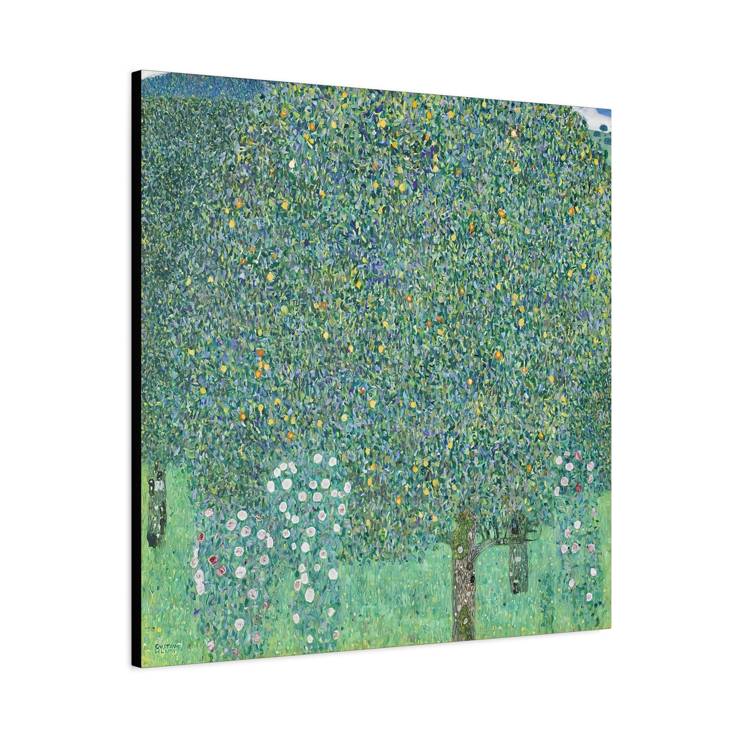 Rosebushes under the Trees (circa 1905) by Gustav Klimt / Reproduction Fine Art sur Toile / Flanc Large Epaisseur 3.2 cm - 1.25 inch