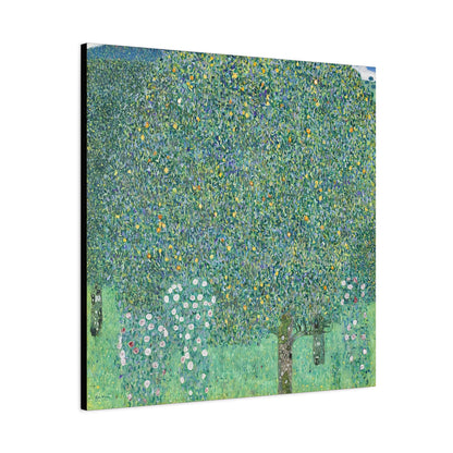 Rosebushes under the Trees (circa 1905) by Gustav Klimt / Reproduction Fine Art sur Toile / Flanc Large Epaisseur 3.2 cm - 1.25 inch