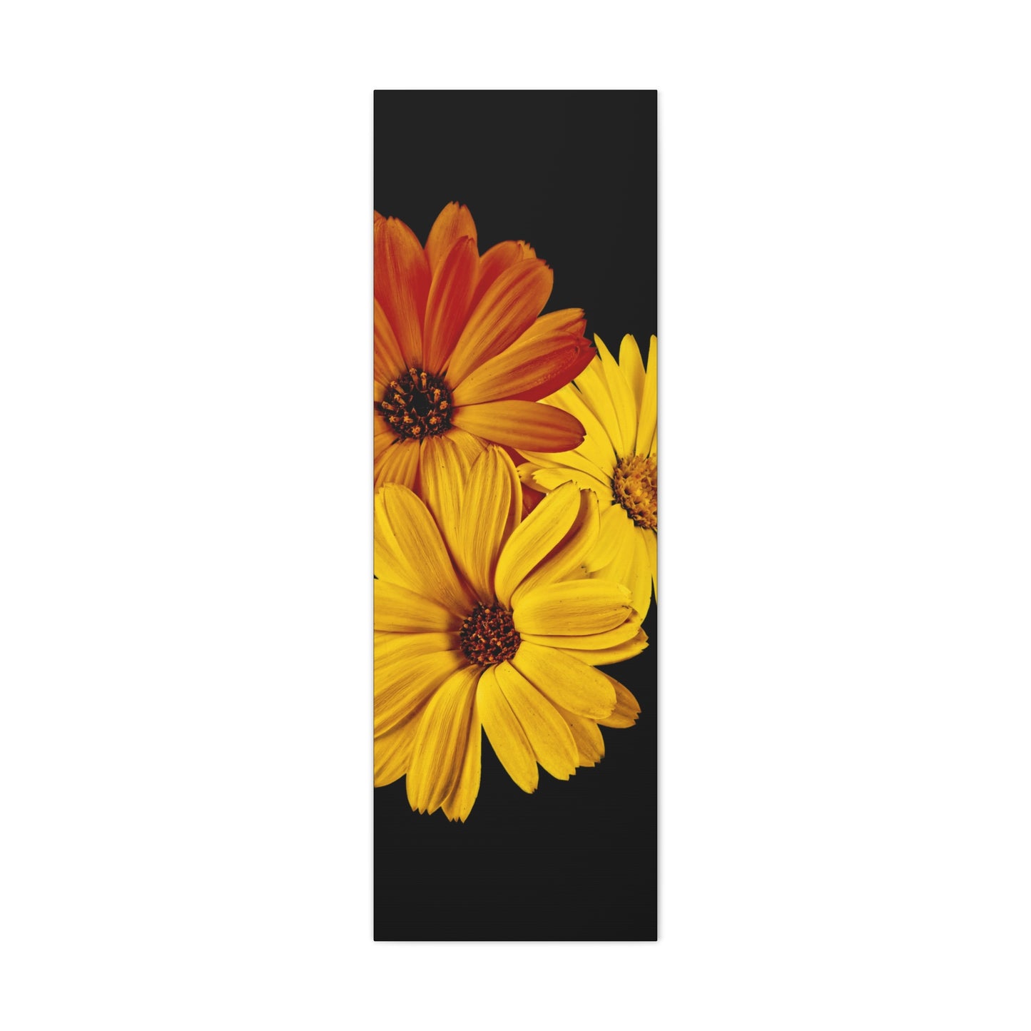 Collection Signature "FLORAL Numéro 4" sur Toile Fine Art sur Toile / Epaisseur 3,2cm - 1'25 po