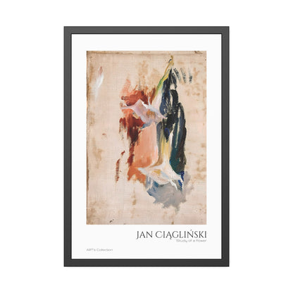 Study of a flower by Jan Ciaglinski  / Affiche Encadrée série ART's Collection