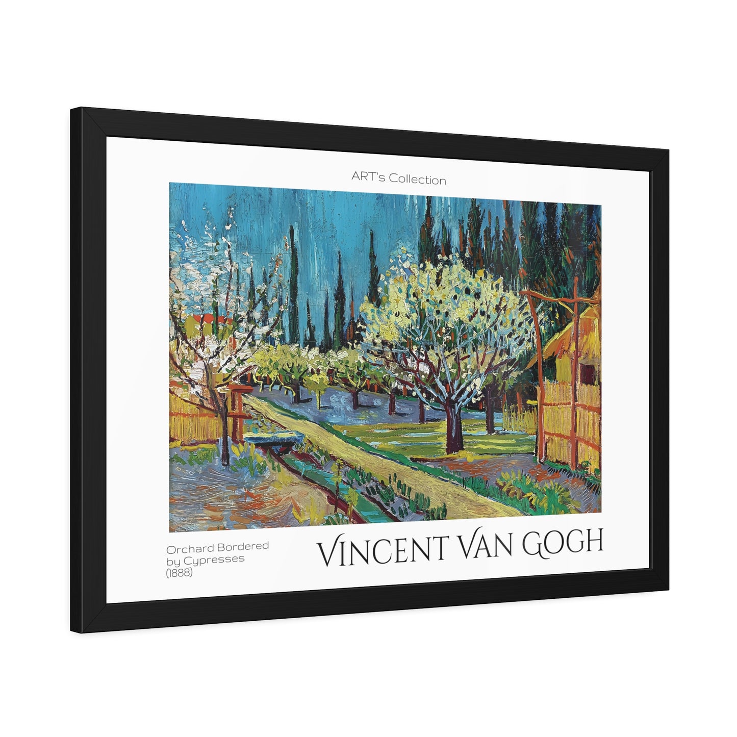 Orchard Bordered by Cypresses (1888) by Vincent Van Gogh / Affiche Encadrée série ART's Collection