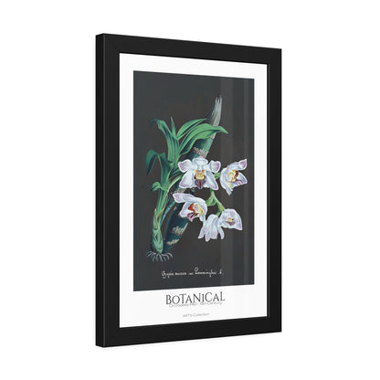 Botanical - Orchidées Pl.60 (19th Century) / Affiche Encadrée série ART's Collection