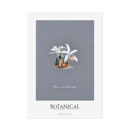 Botanical - Orchidées Pl.15 (19th Century) / Affiche imprimée - Série ART's Collection