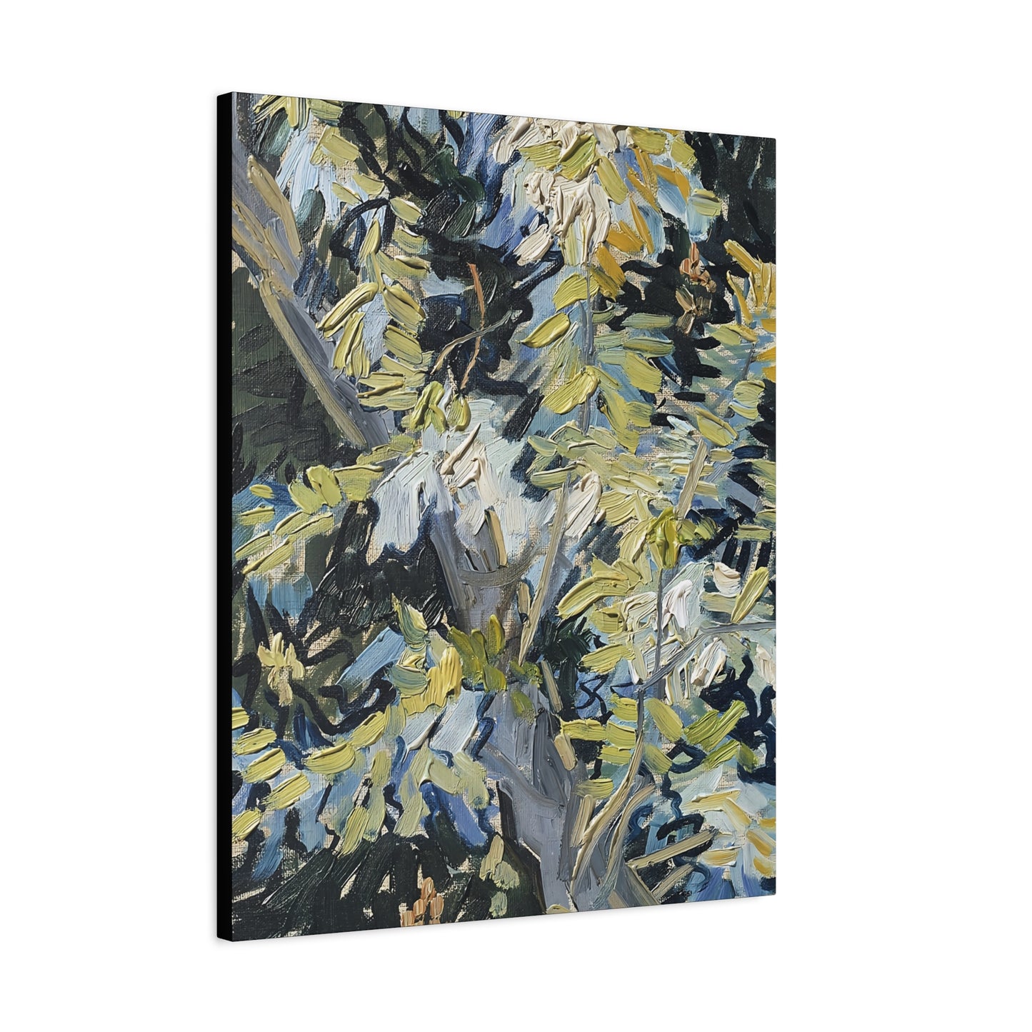 Acacia in Flowers by Vincent van Gogh  / Reproduction Fine Art sur Toile / Epaisseur 3,2cm - 1'25 po