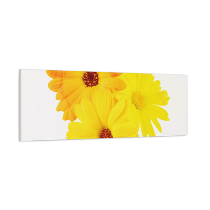 Collection Signature "FLORAL Numéro 16" sur Toile Fine Art sur Toile / Epaisseur 3,2cm - 1'25 po