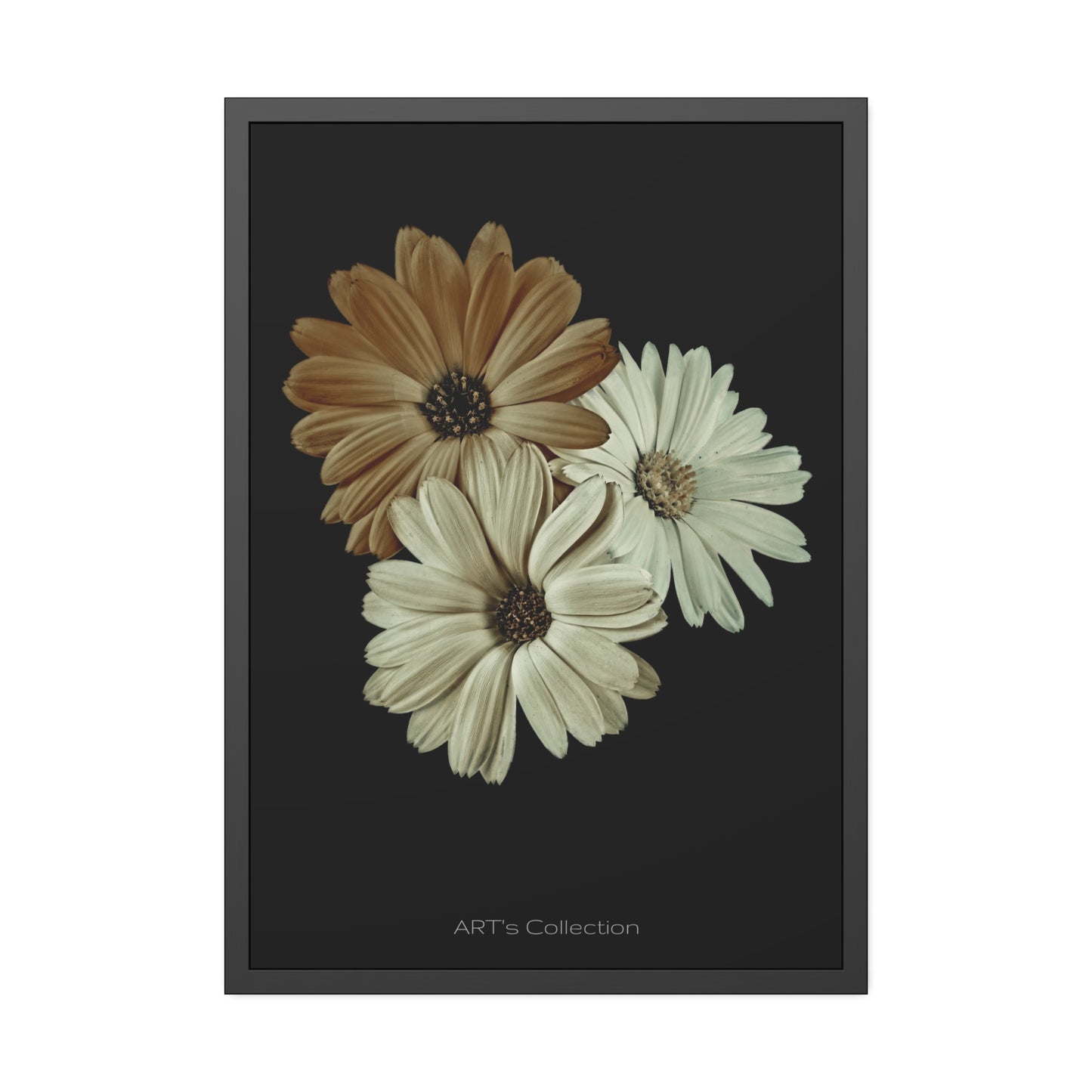 Collection Signature "FLORAL Numéro 3" sur Affiche Encadrée série ART's Collection